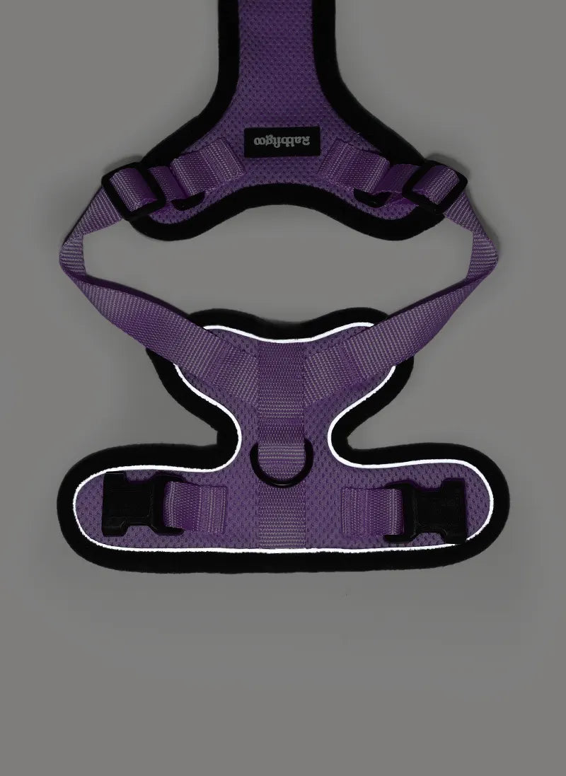 Rabbitgoo Classic Adjustable Cat Harness and Leash Set - Light Purple