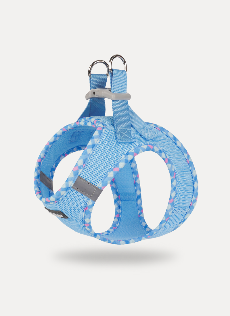 Minifit Small Dog Harness and Leash Set - Blue & Plaid Trim