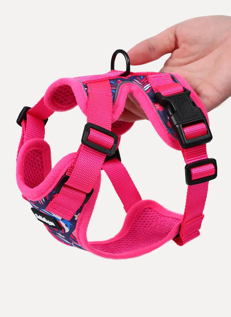 Rabbitgoo Kaleido Adjustable cat harness and leash set - Tropic Fuchsia