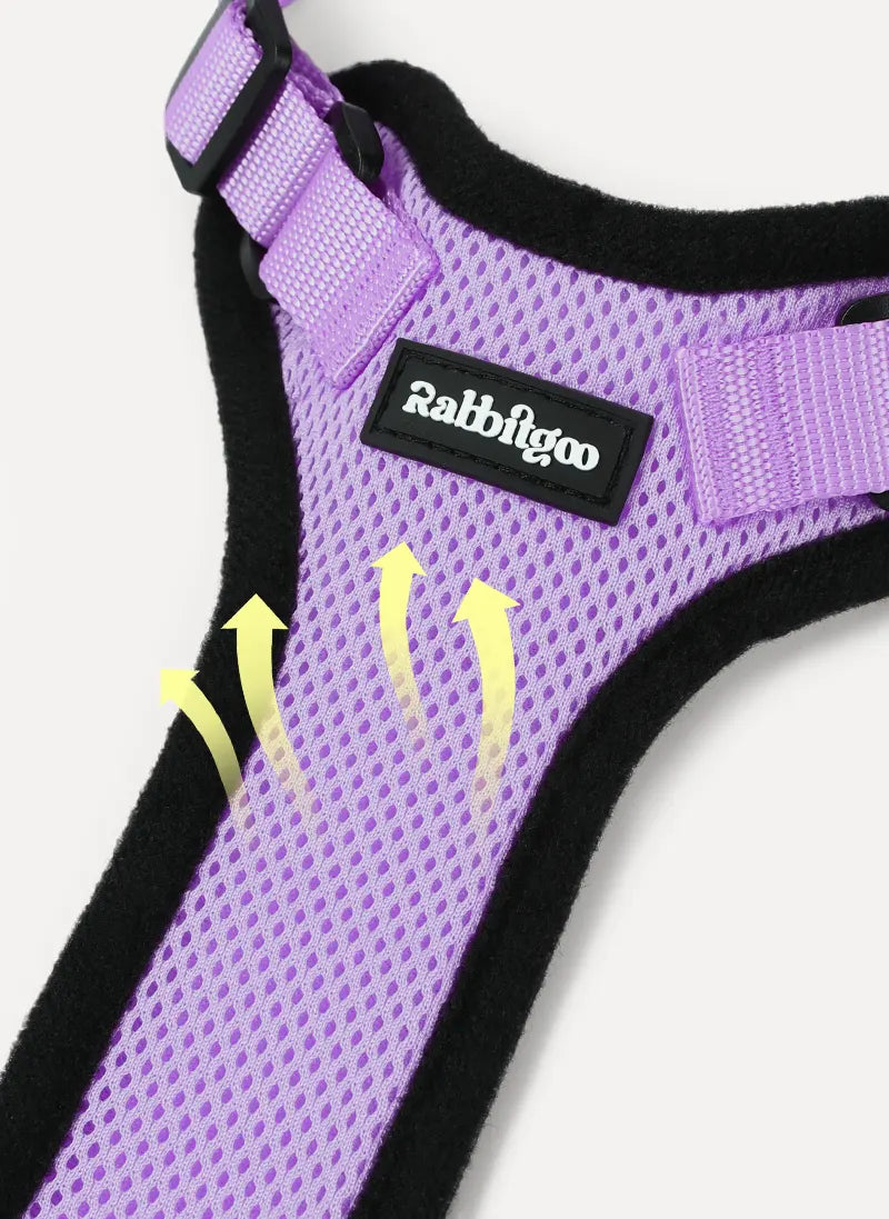 Rabbitgoo Classic Adjustable Cat Harness and Leash Set - Light Purple