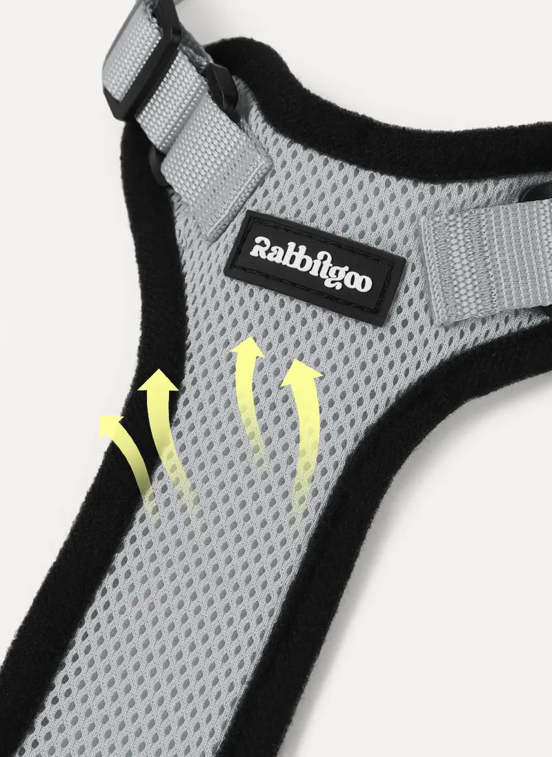 Rabbitgoo Classic Adjustable Cat Harness and Leash Set - Grey