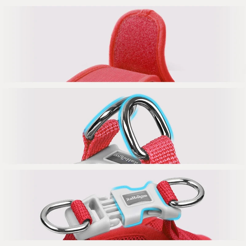 Minifit Small Dog Harness and Leash Set - Apple Pups