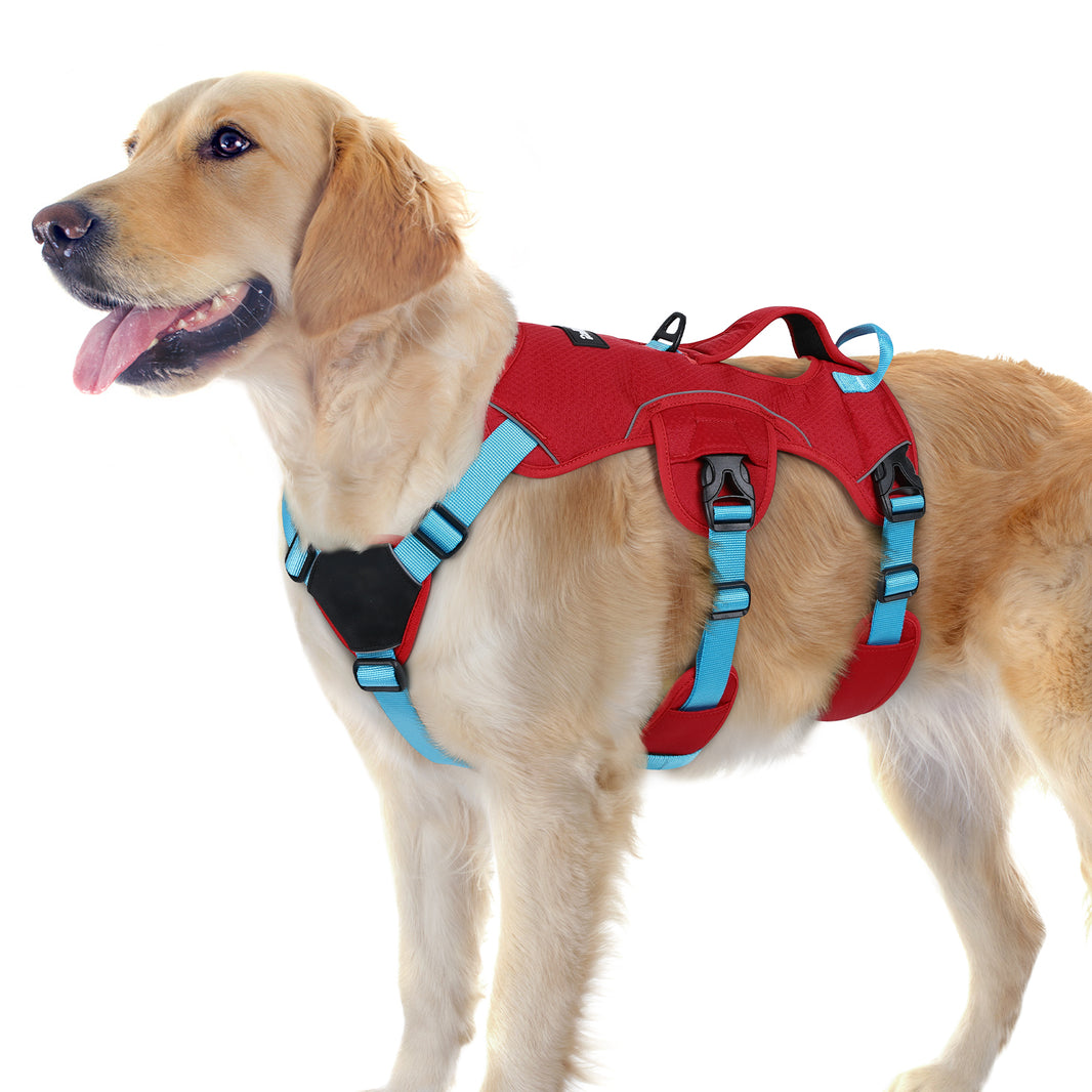 Rabbitgoo Large Dog Harness with Handle - Red & Light blue