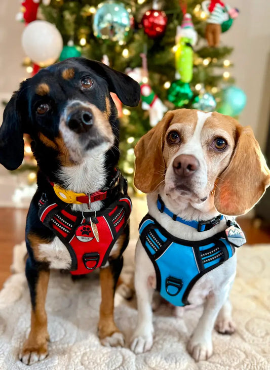 Classic Fit No Pull Dog Harness - Hot Pink