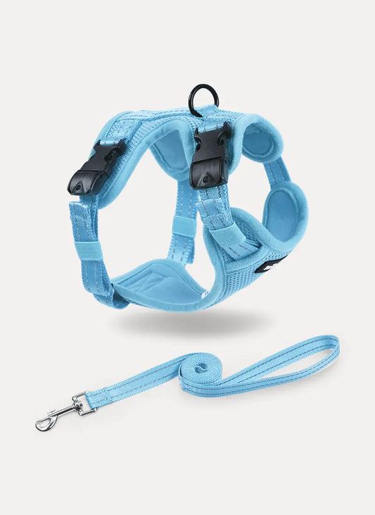 Rabbitgoo SnugFit 3-Point Cat Harness and Leash Set - Blue