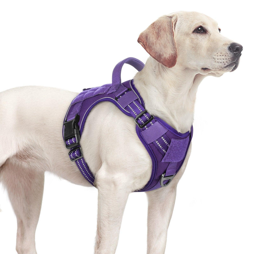 ColorPop Escape Proof Tactical Dog Harness - Purple