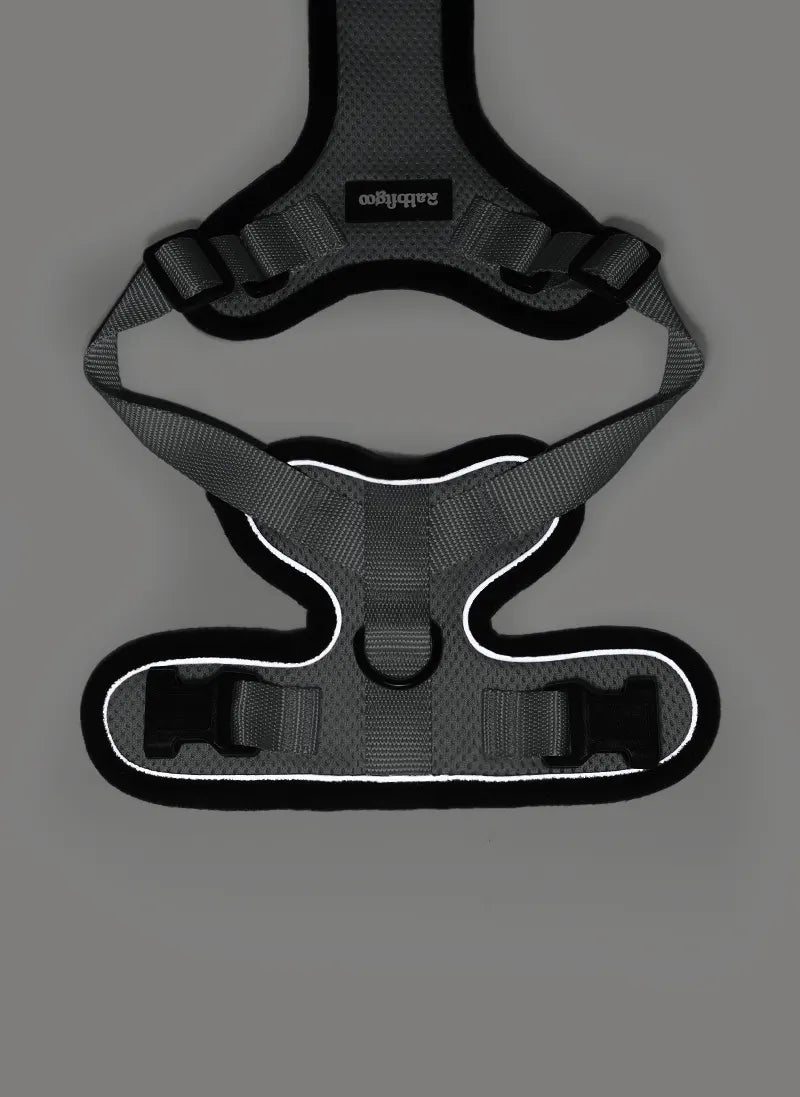 Rabbitgoo Classic Adjustable Cat Harness and Leash Set - Grey