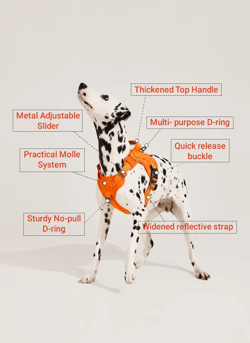 ColorPop Escape Proof Tactical Dog Harness - Orange