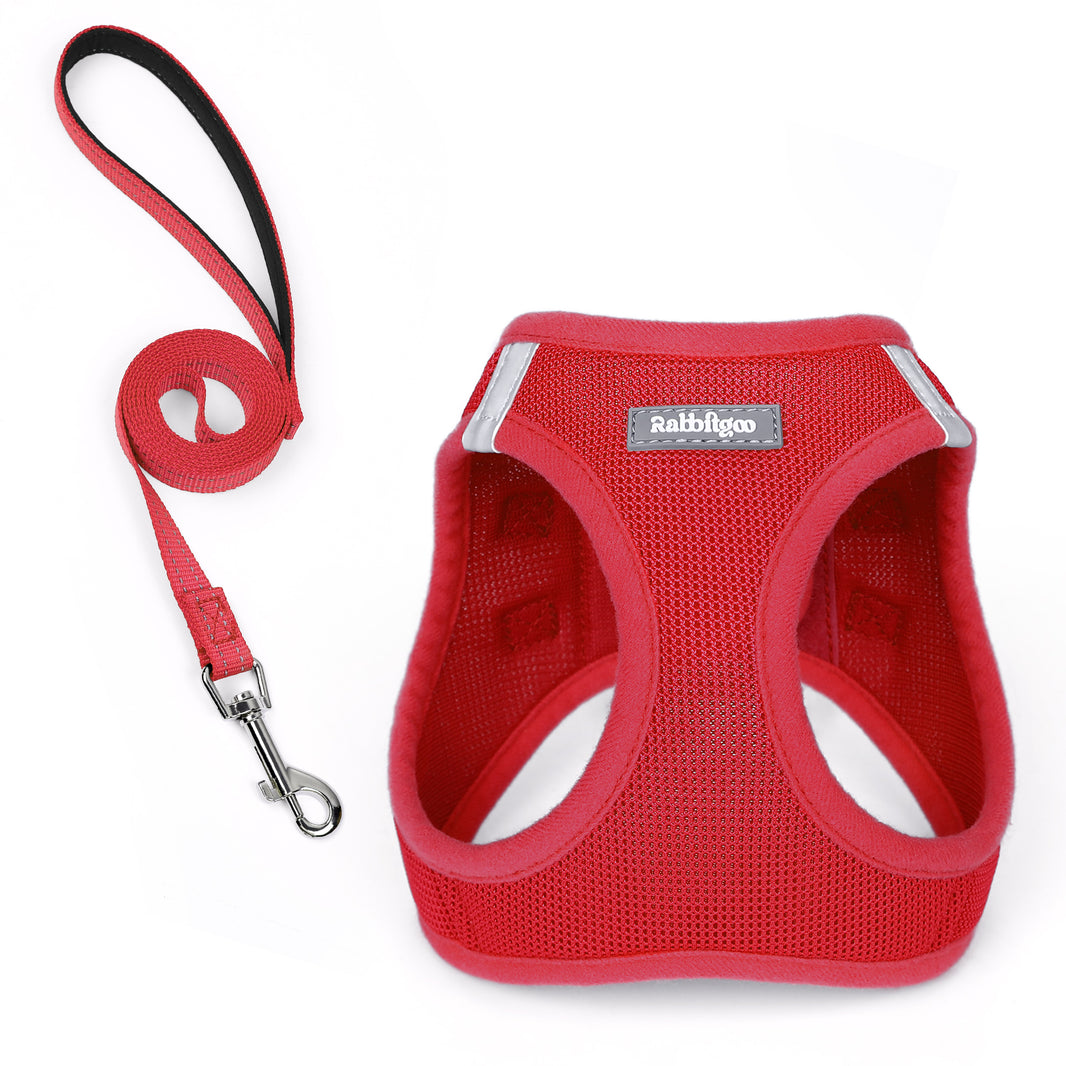 Minifit Small Dog Harness and Leash Set - Red