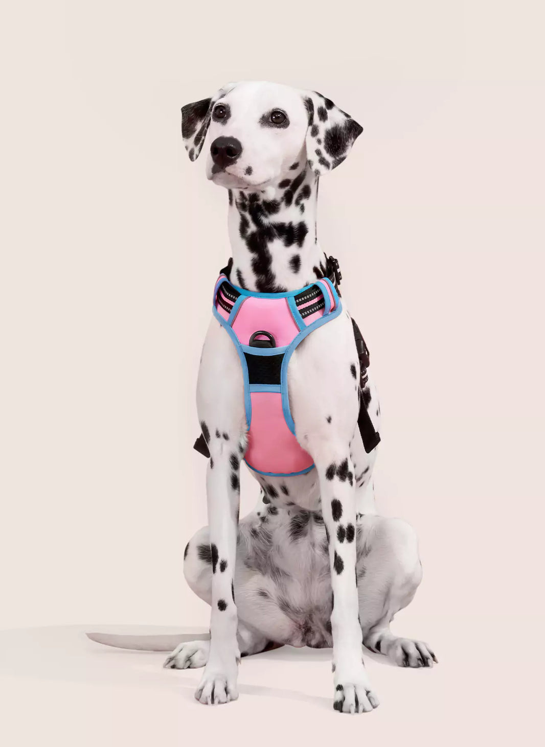 ColorPop Fit No Pull Dog Harness - Pink & Blue