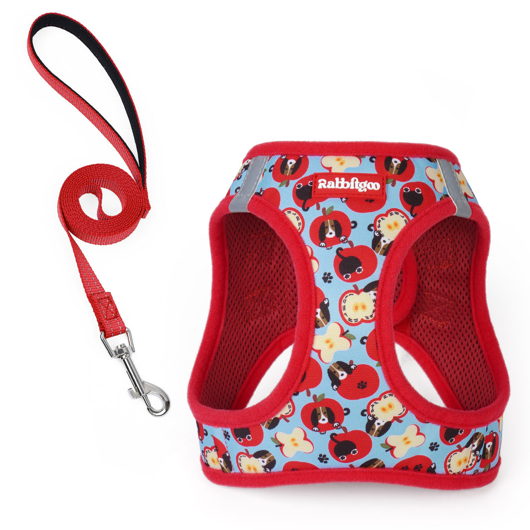 Minifit Small Dog Harness and Leash Set - Apple Dog