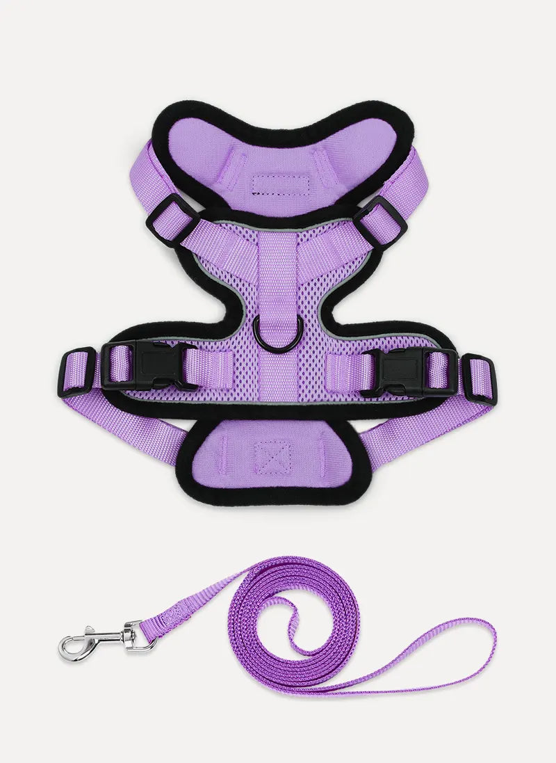 Rabbitgoo Classic Adjustable Cat Harness and Leash Set - Light Purple