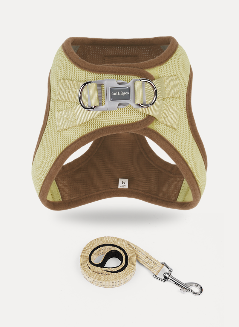 Minifit Small Dog Harness and Leash Set - Brown & Beige