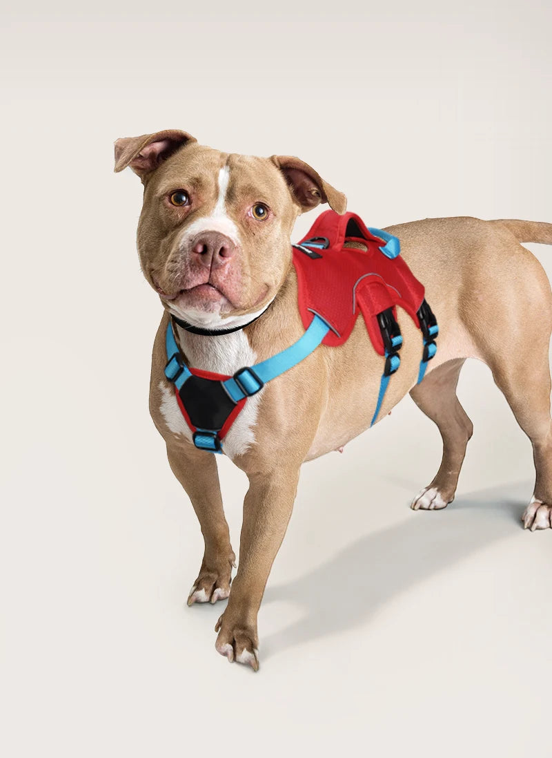 Lift Assist Escape Proof Dog Harness - Red & Light Blue
