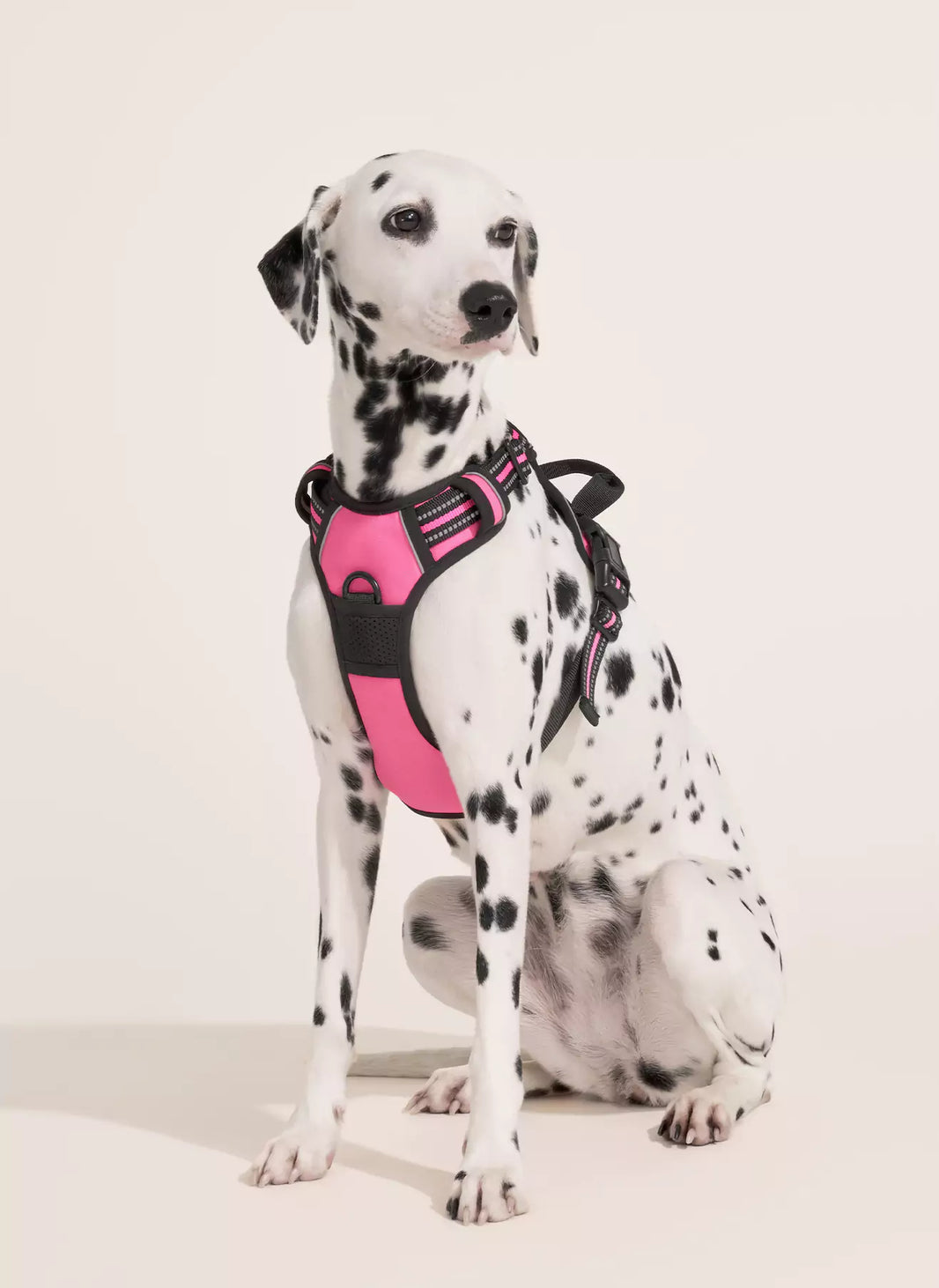 Classic Fit No Pull Dog Harness - Hot Pink