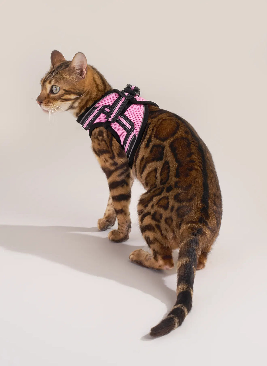 Rabbitgoo Escape Proof Cat Harness and Leash Set - Pink