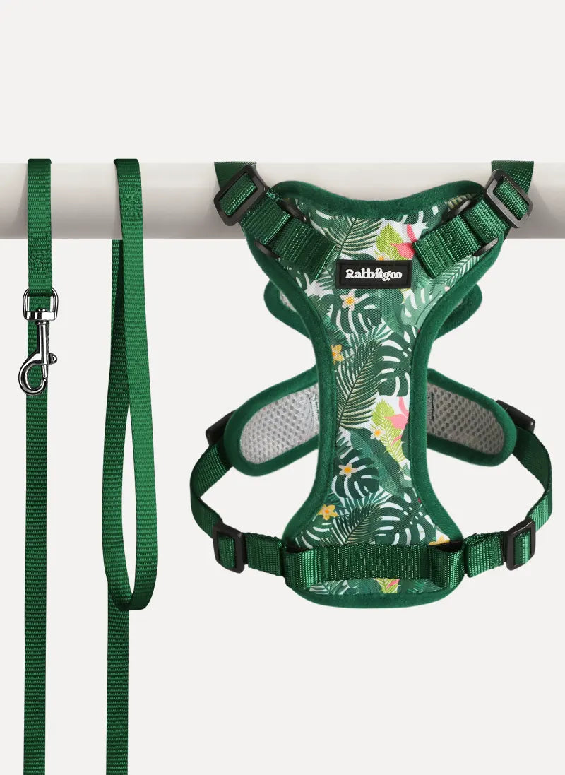 Rabbitgoo Kaleido Adjustable cat harness and leash set - Monstera Green