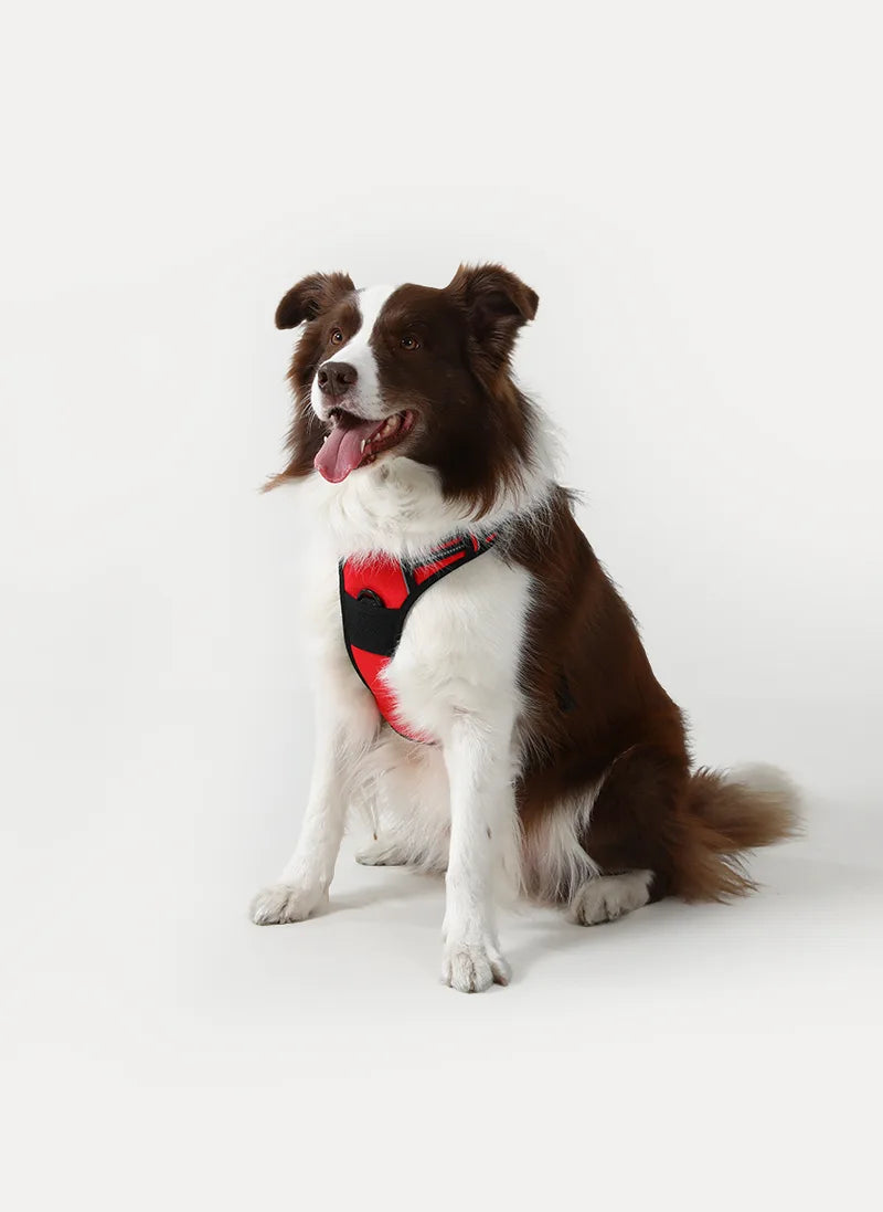 Classic Fit No Pull Dog Harness - Red