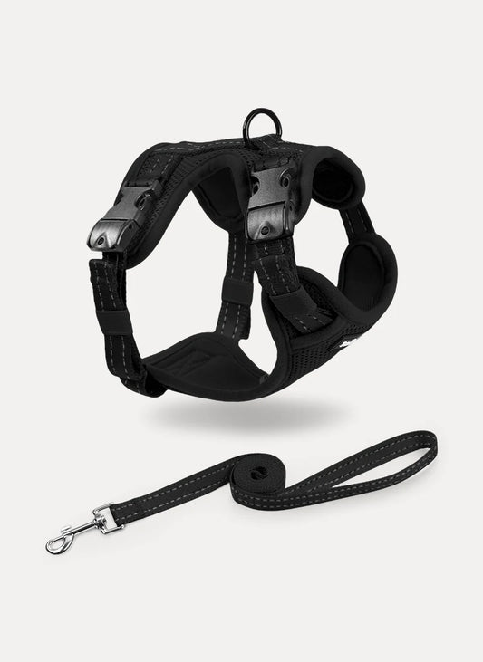 Rabbitgoo SnugFit 3-Point Cat Harness and Leash Set - Black