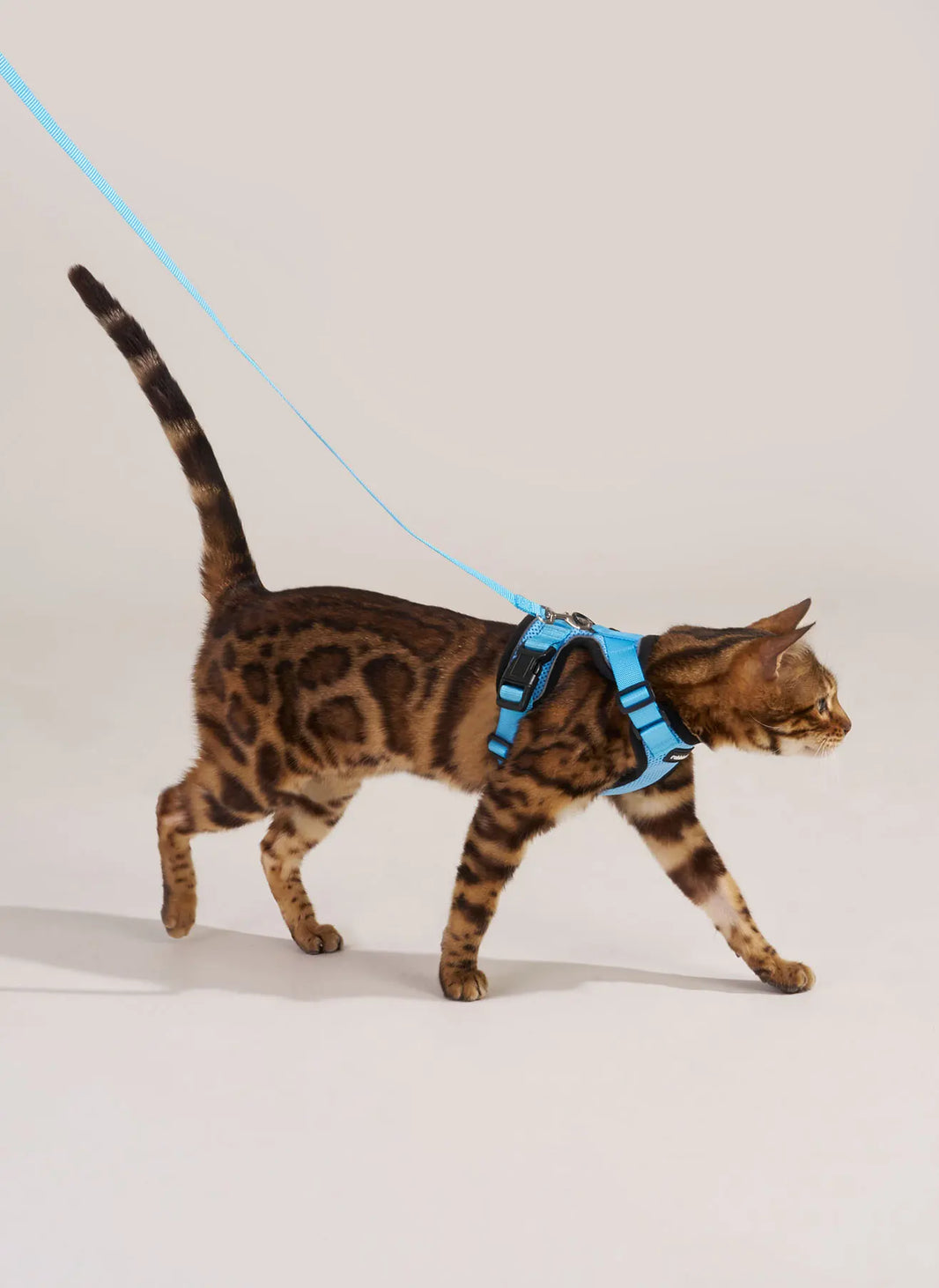 Rabbitgoo Classic Adjustable Cat Harness and Leash Set - Light Blue