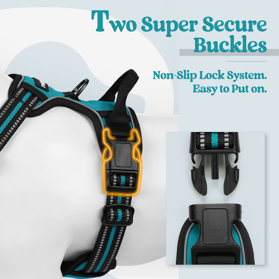 Classic Fit No Pull Dog Harness - Teal