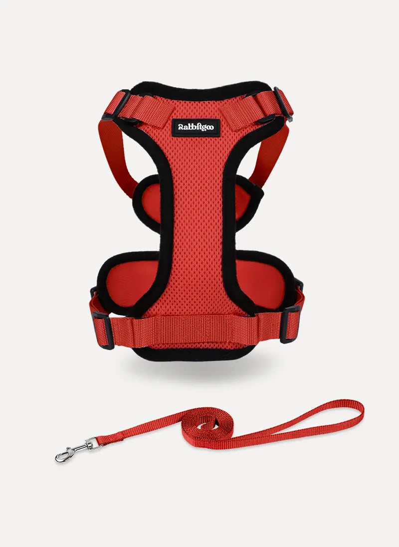 Rabbitgoo Classic Adjustable Cat Harness and Leash Set - Red