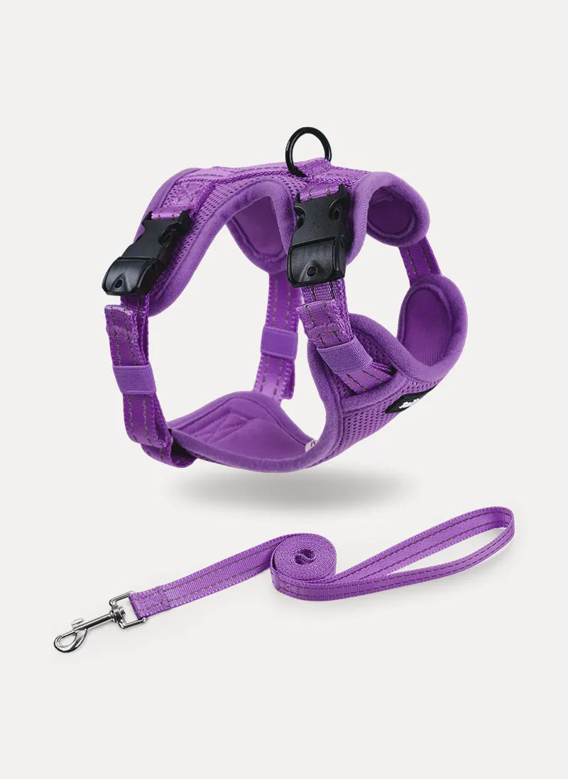 Rabbitgoo SnugFit 3-Point Cat Harness and Leash Set - Purple