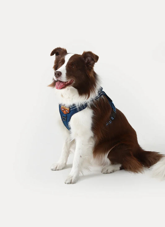Solid Escape Proof Tactical Dog Vest Harness - Blue