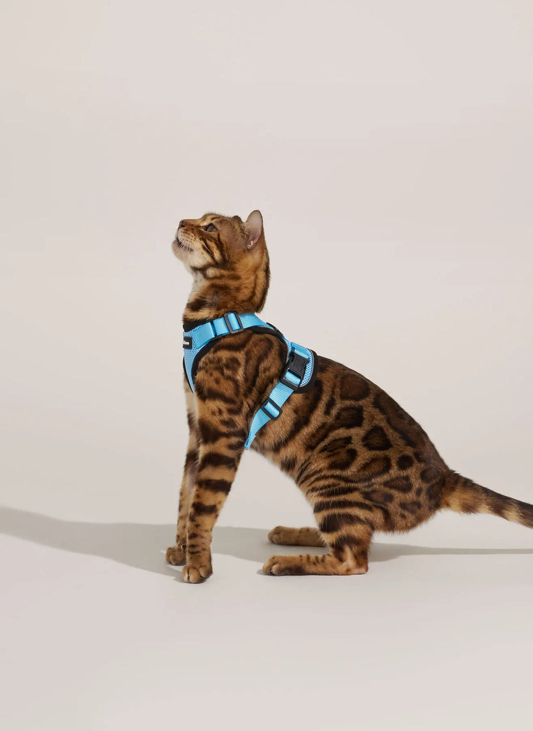 Rabbitgoo Classic Adjustable Cat Harness and Leash Set - Light Blue