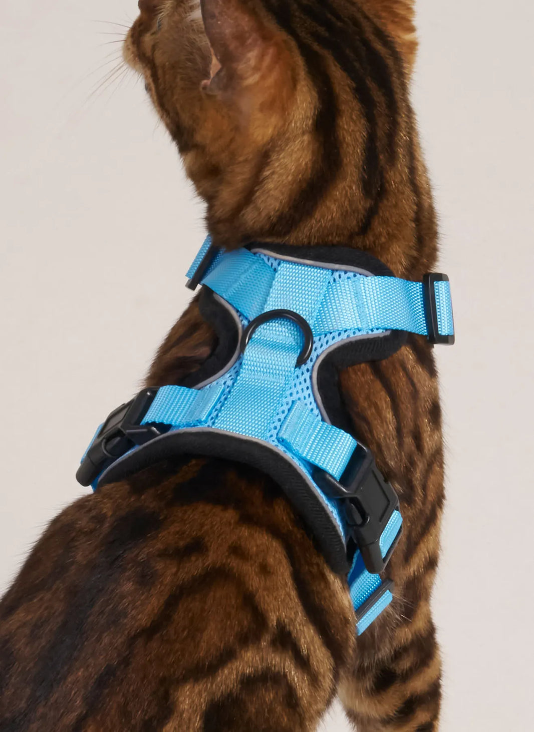 Rabbitgoo Classic Adjustable Cat Harness and Leash Set - Light Blue