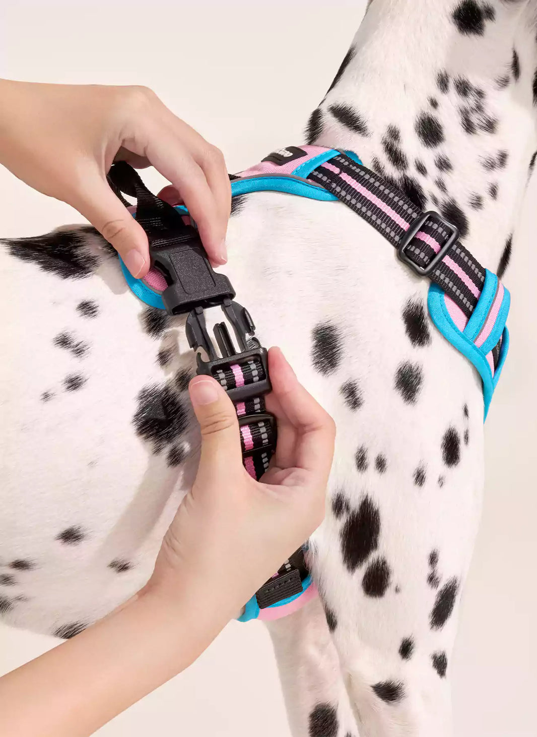 ColorPop Fit No Pull Dog Harness - Pink & Blue