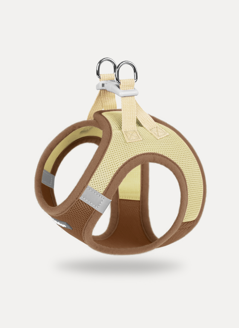 Minifit Small Dog Harness and Leash Set - Brown & Beige