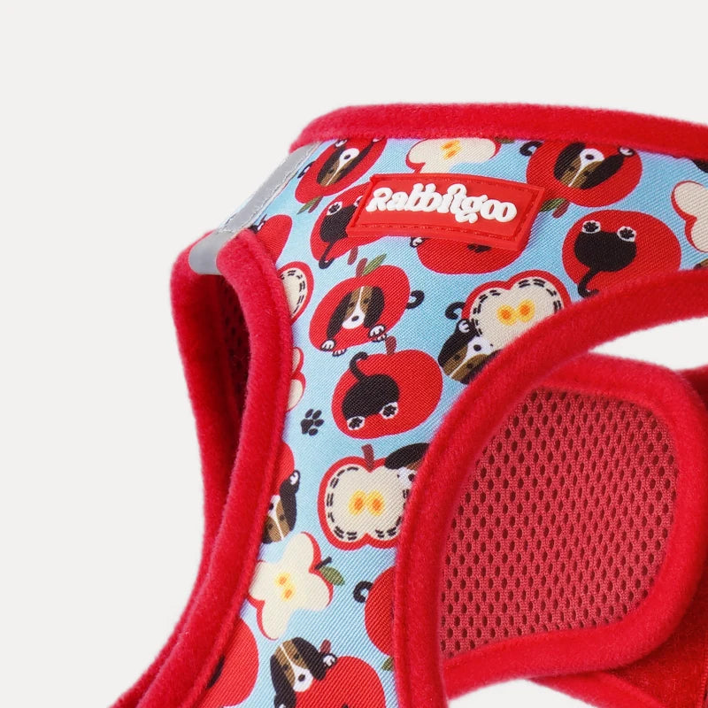 Minifit Small Dog Harness and Leash Set - Apple Pups
