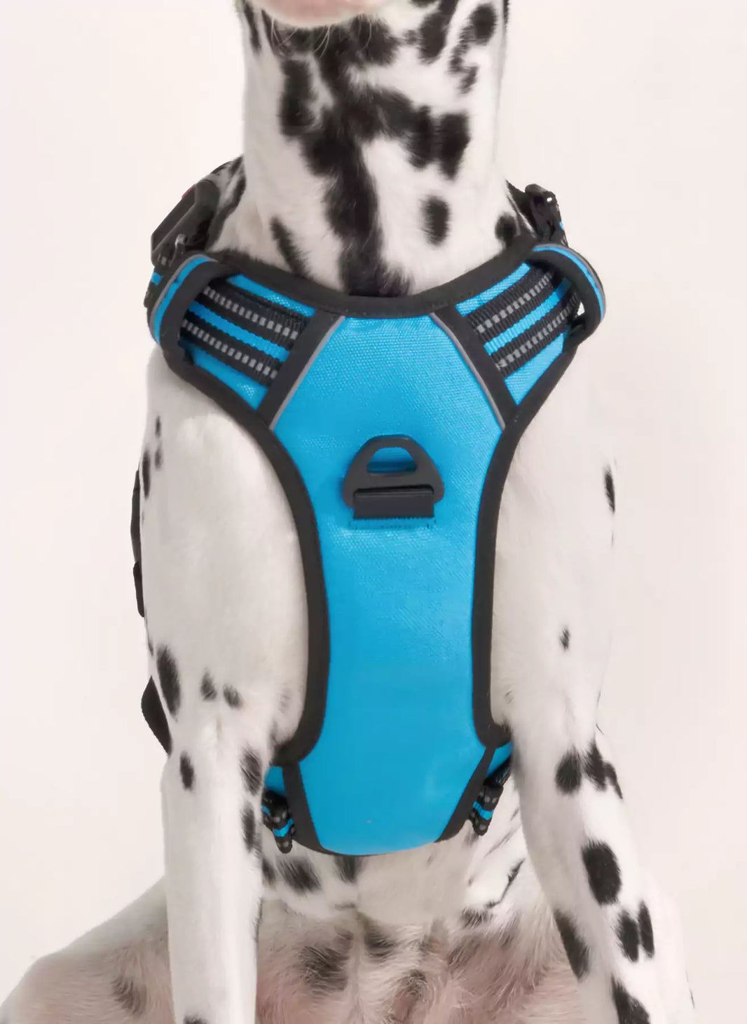 Uplift Pro Adjustable Dog Harness with Neck Buckle - Blue