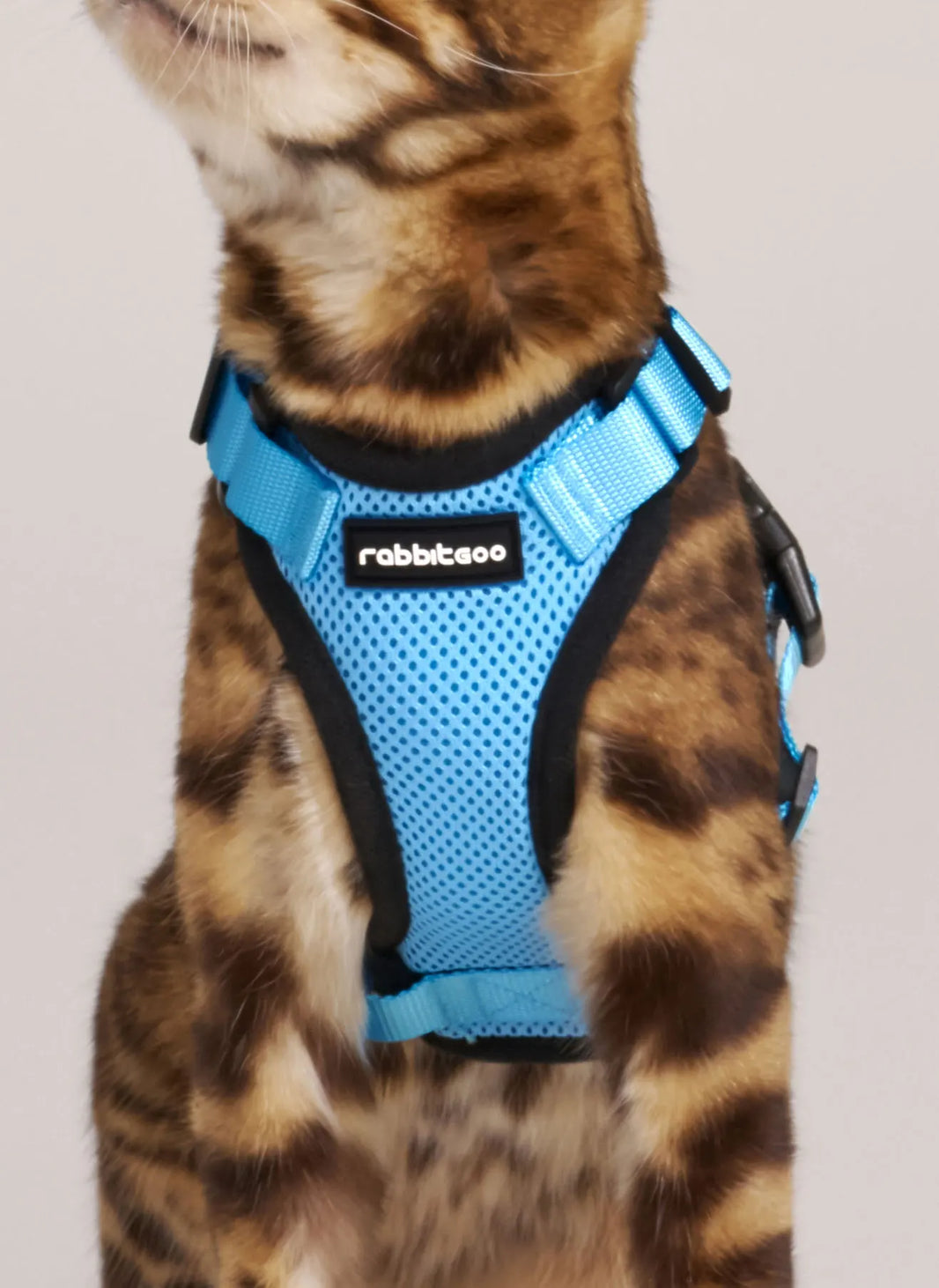 Rabbitgoo Classic Adjustable Cat Harness and Leash Set - Light Blue