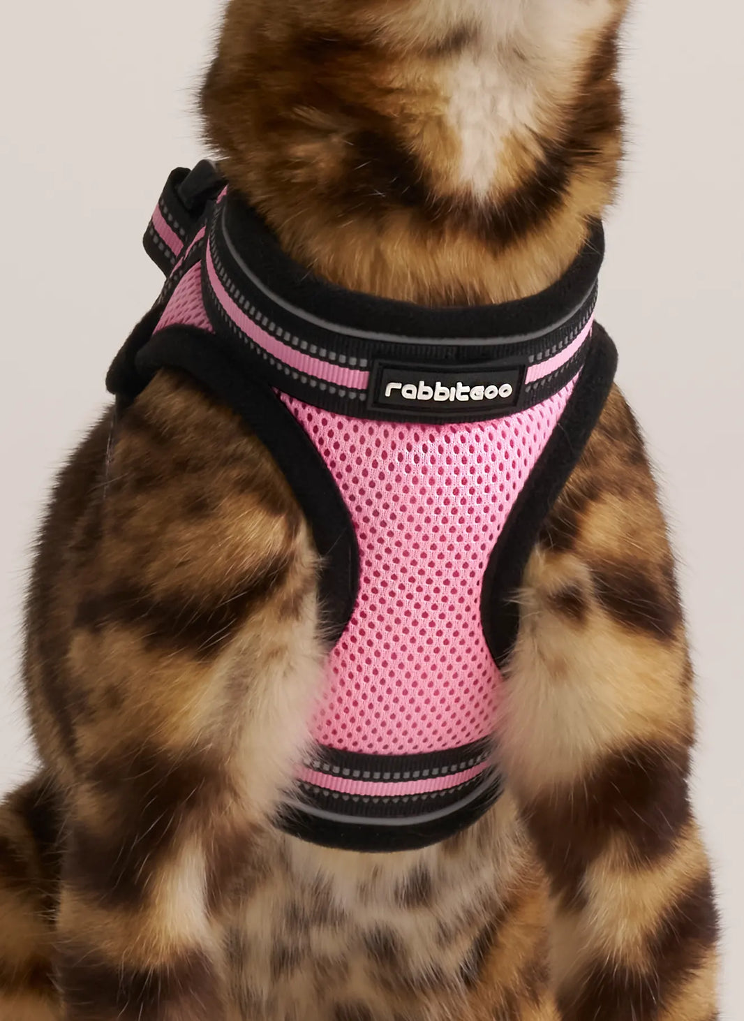 Rabbitgoo Escape Proof Cat Harness and Leash Set - Pink