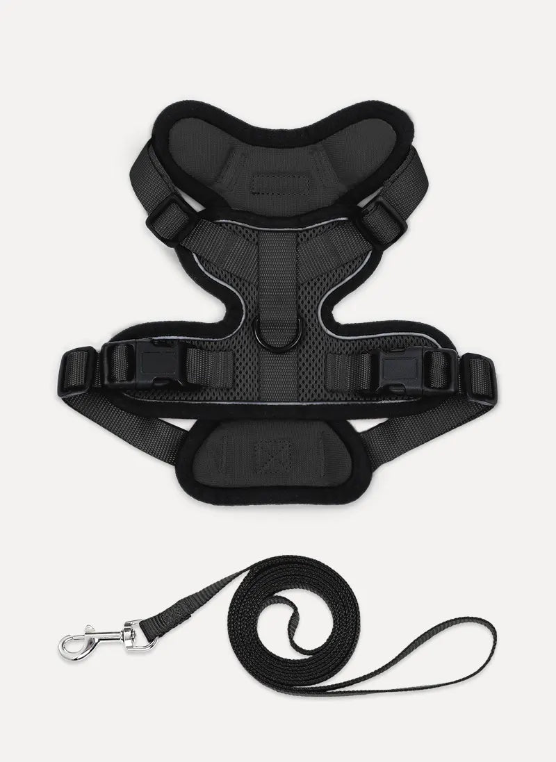 Rabbitgoo Classic Adjustable Cat Harness and Leash Set - Black