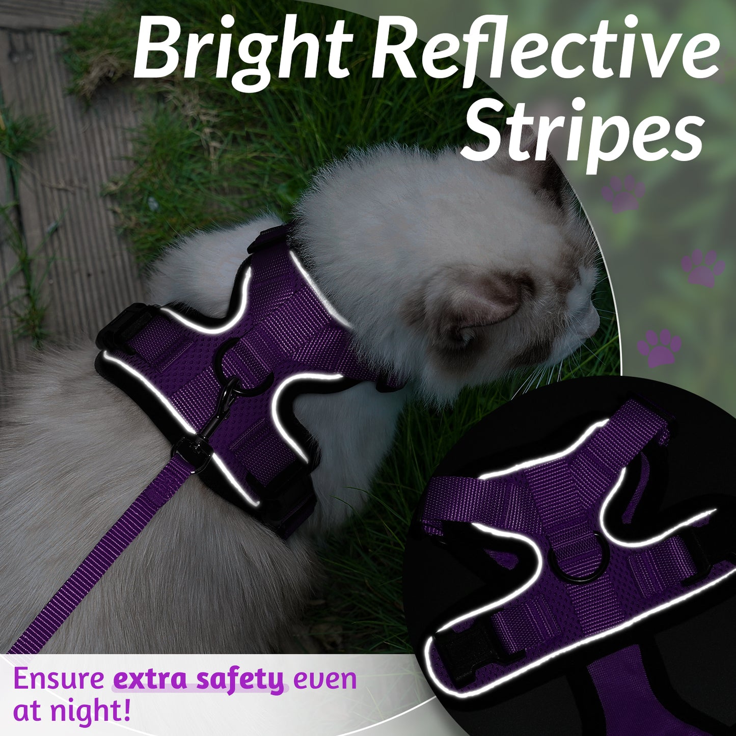 Rabbitgoo Adjustable Cat Harness and Leash Set