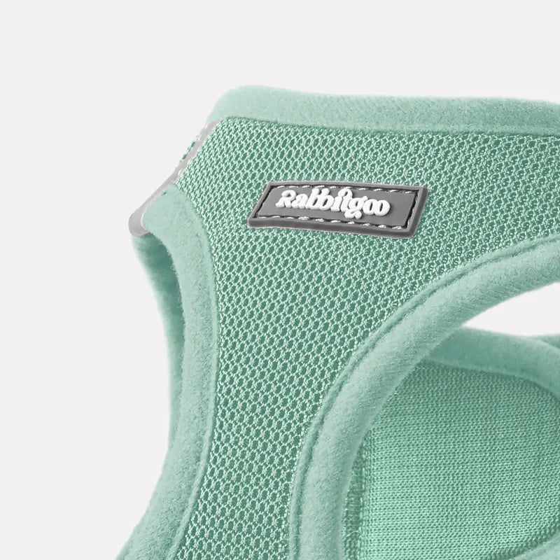 Minifit Small Dog Harness and Leash Set - Mint green