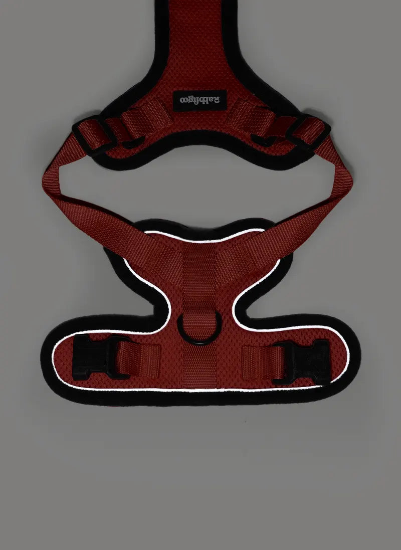 Rabbitgoo Classic Adjustable Cat Harness and Leash Set - Red