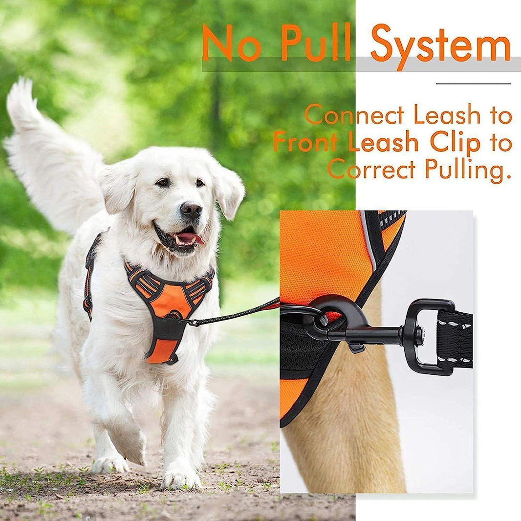 Classic Fit No Pull Dog Harness - Orange