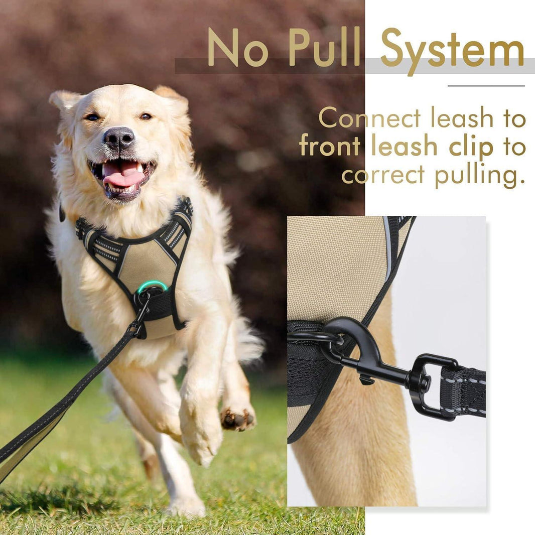 Classic Fit No Pull Dog Harness - Beige
