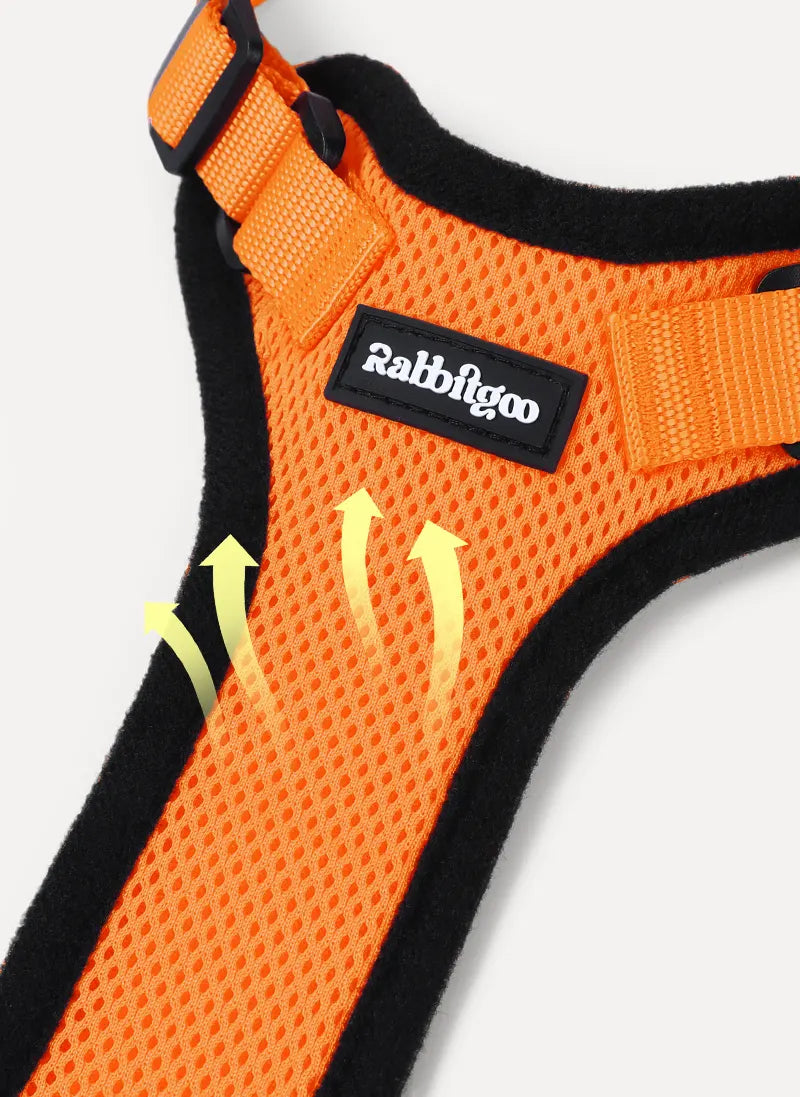 Rabbitgoo Classic Adjustable Cat Harness and Leash Set - Orange