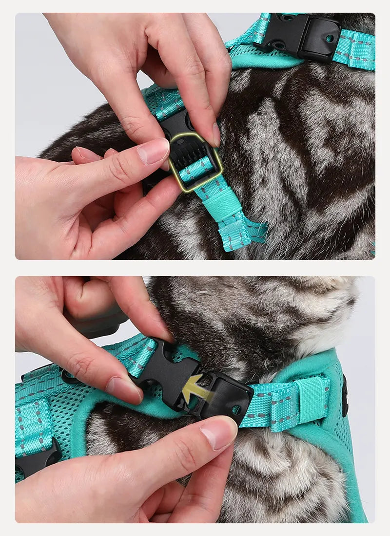 Rabbitgoo SnugFit 3-Point Cat Harness and Leash Set - Emerald