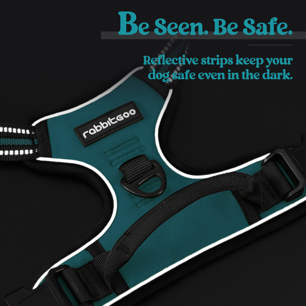 Classic Fit No Pull Dog Harness - Teal