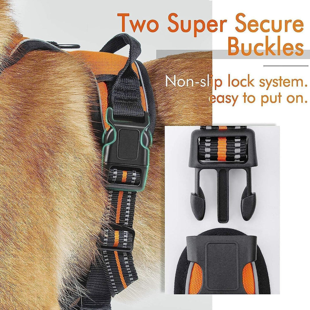 Classic Fit No Pull Dog Harness - Orange