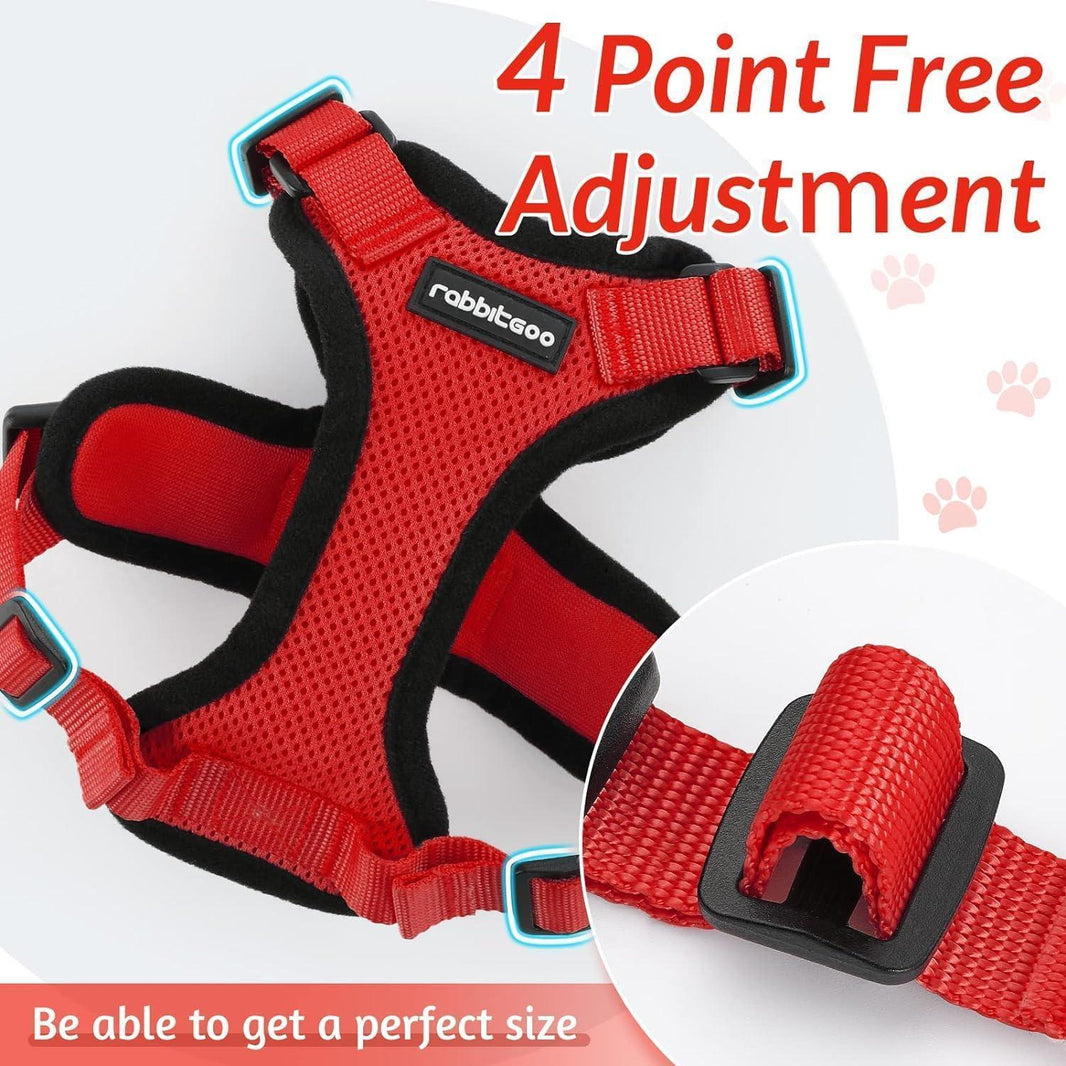 Rabbitgoo Classic Adjustable Cat Harness and Leash Set - Red