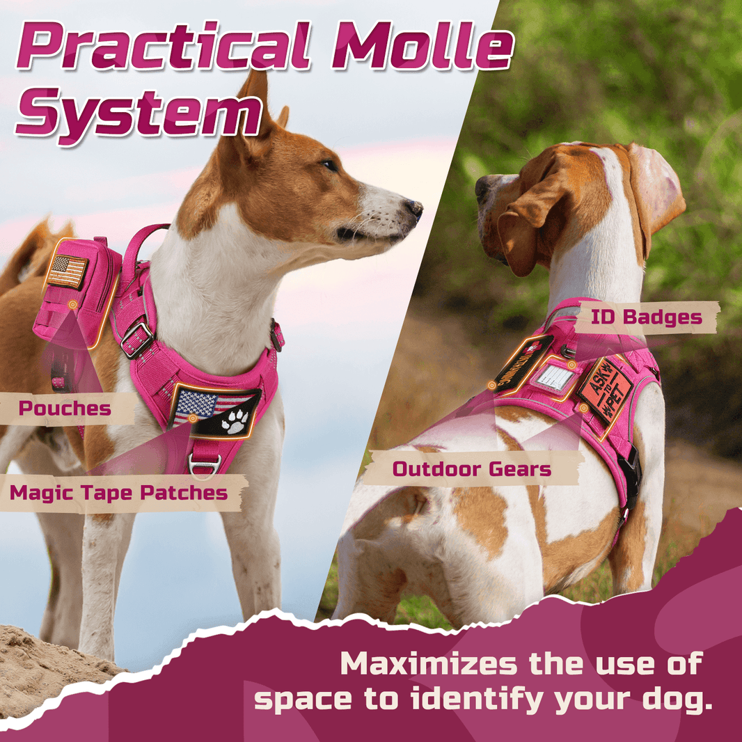 ColorPop Escape Proof Tactical Dog Harness - Rose Red