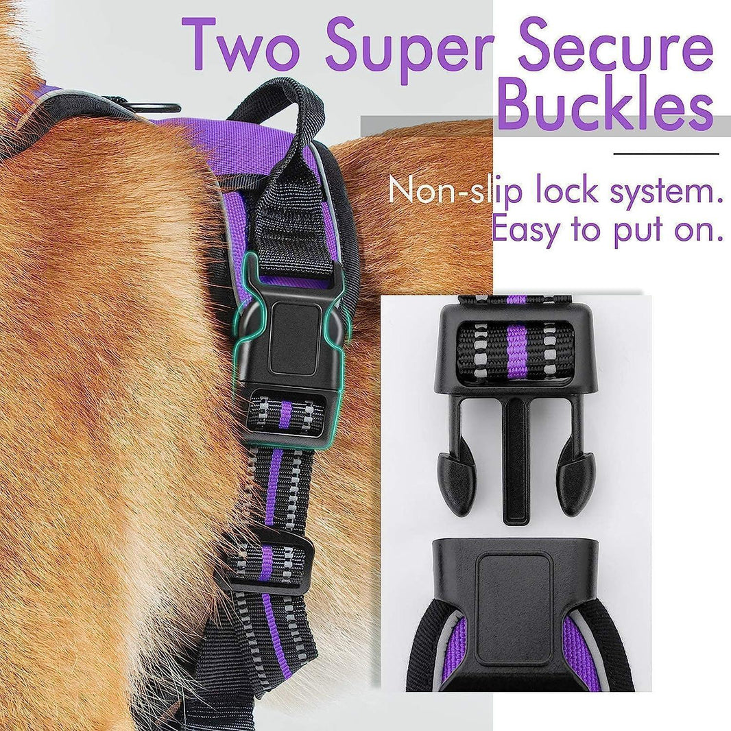 Classic Fit No Pull Dog Harness - Purple