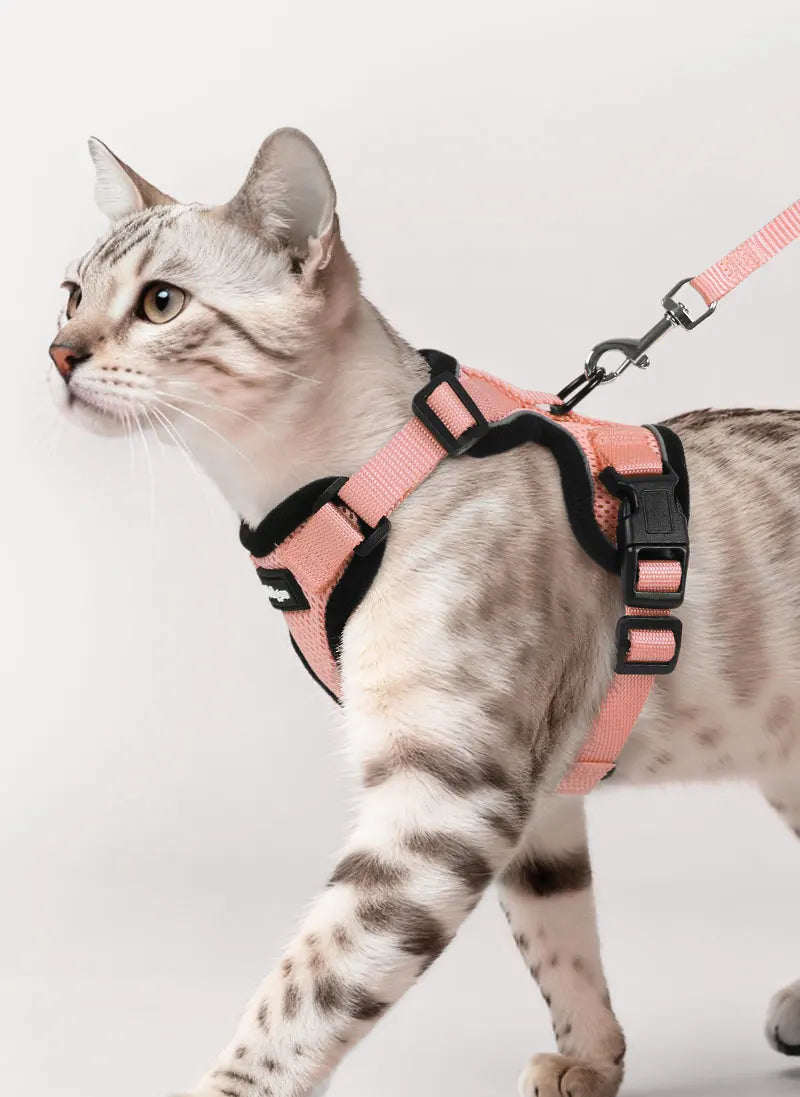 Rabbitgoo Classic Adjustable Cat Harness and Leash Set - Light Salmon Pink